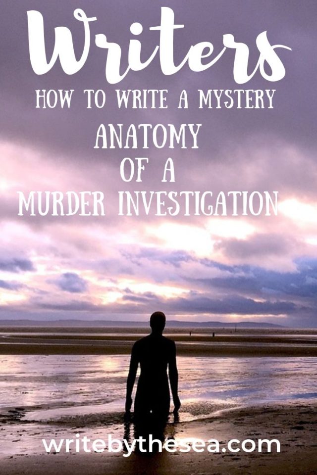 anatomy of a murder investigation