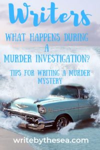 anatomy of a murder investigation