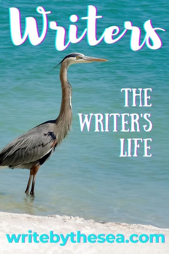 the writers life 1