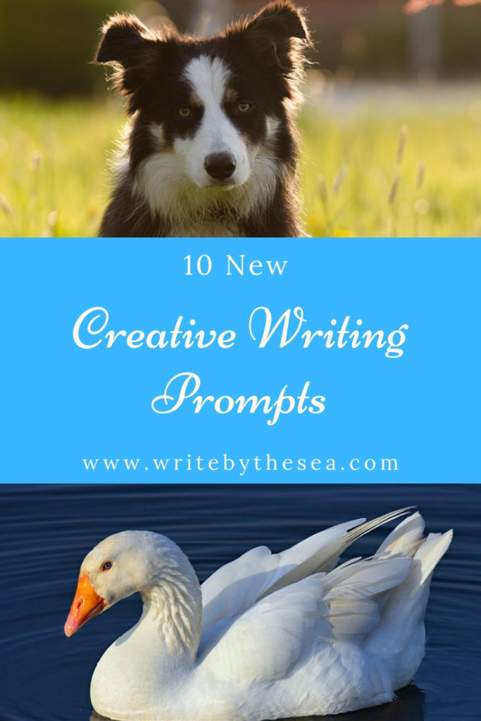 writing prompts for writing fun