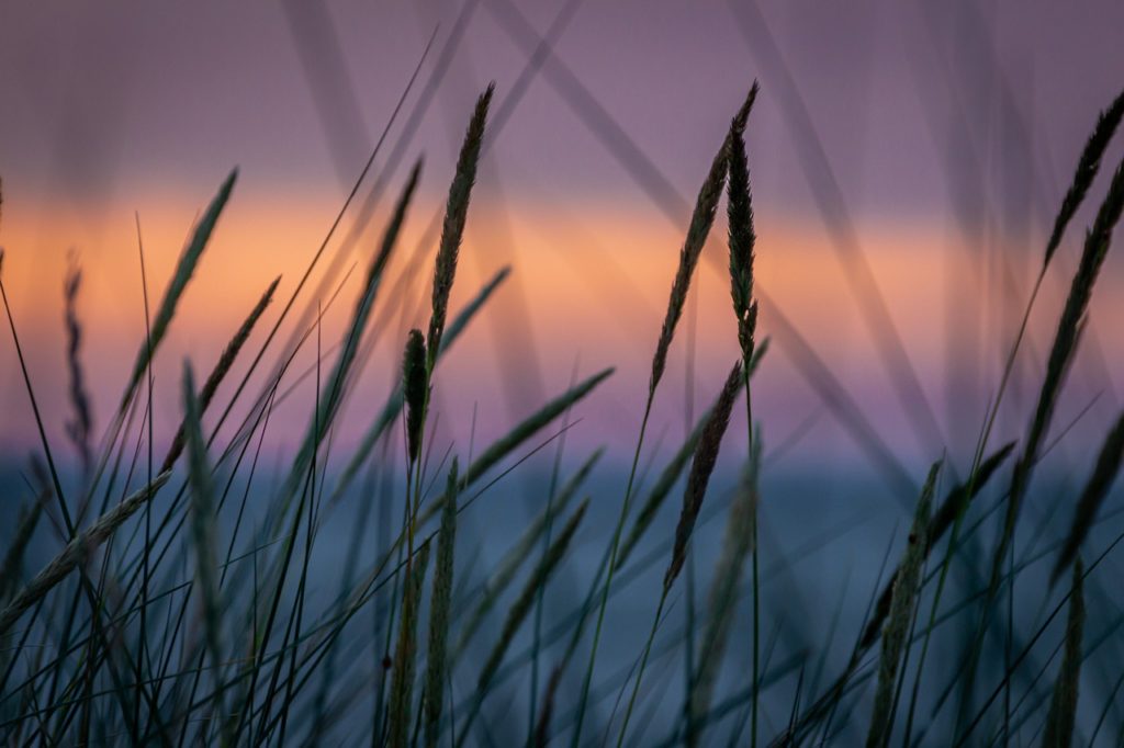 abendstimmung 4315445 1280
