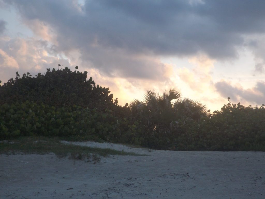 sunset behind the dunes