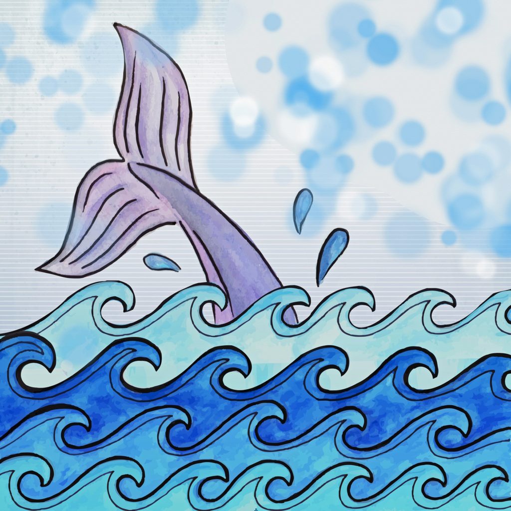 whale 3587173 1920 scaled