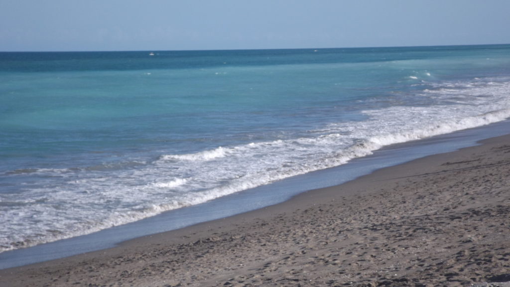 valentine's day at the beach