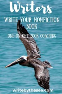 nonfiction-book-coaching