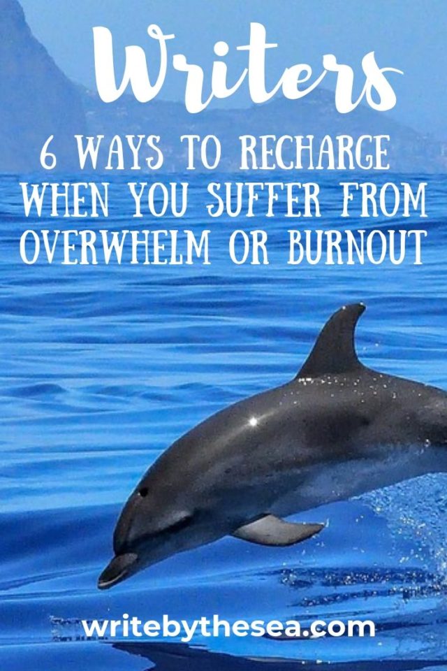 dolphin swimming to recharge