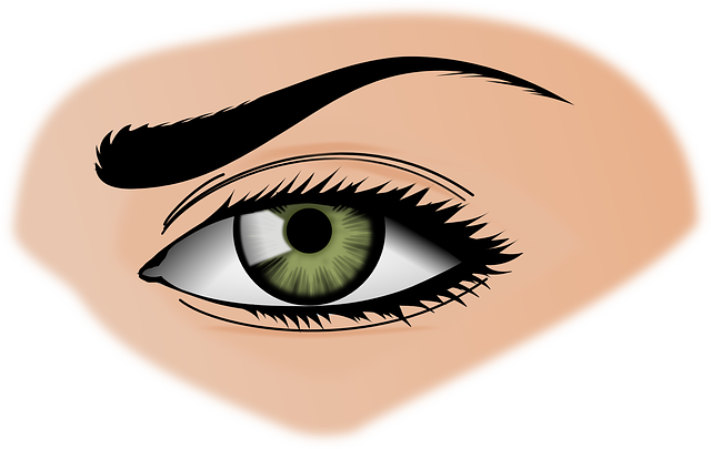 iris 154659 640