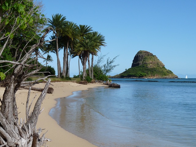 hawaii 2009887 640