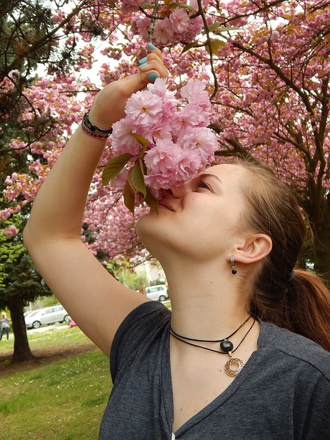 cherry blossom 753689 640