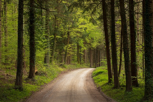 visual creative writing prompts: It looked like the road to nowhere.