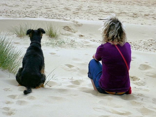 at the beach story starter picture