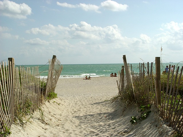 Father's Day at the beach