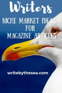 niches for magazine articles