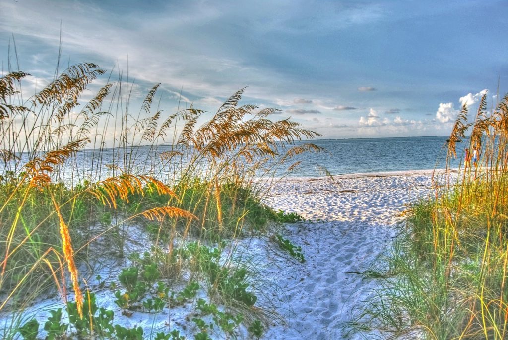 beach 2421348 1280
