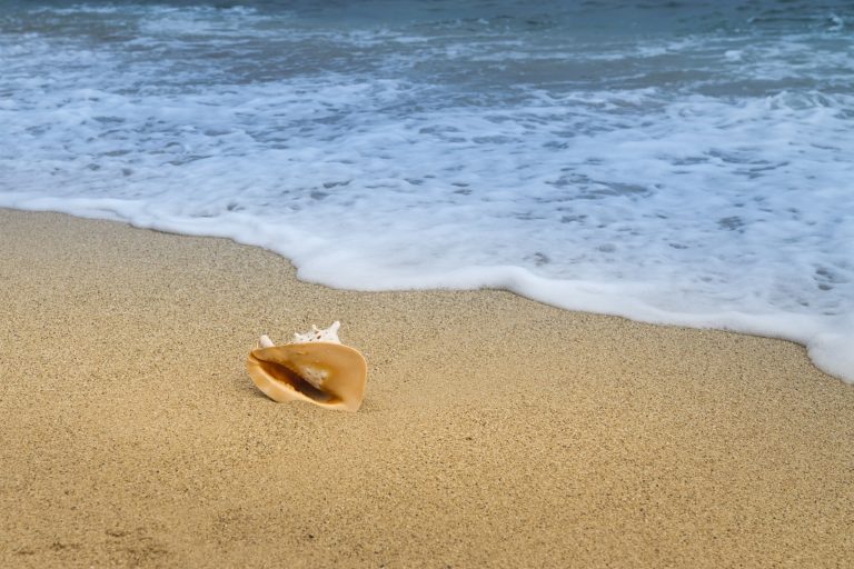 background 3062010 1280