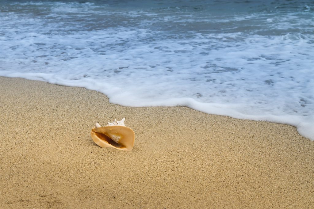background 3062010 1280