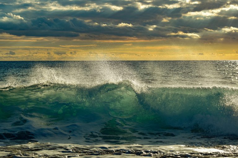 wave 4227271 1280 scaled