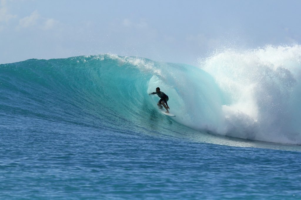 surfing 2686393 1280 scaled