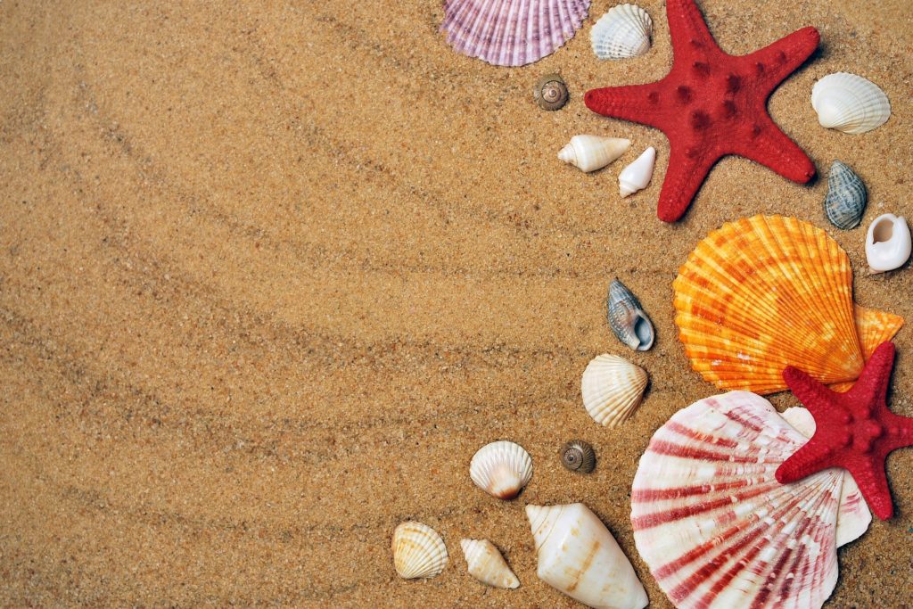 sea 1351559 1920 scaled