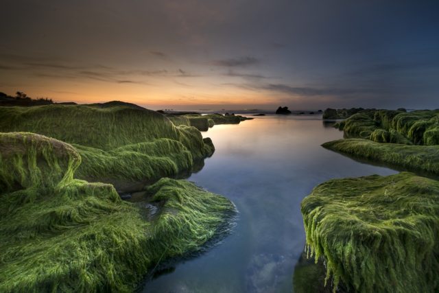 scottish bog as a writing prompt