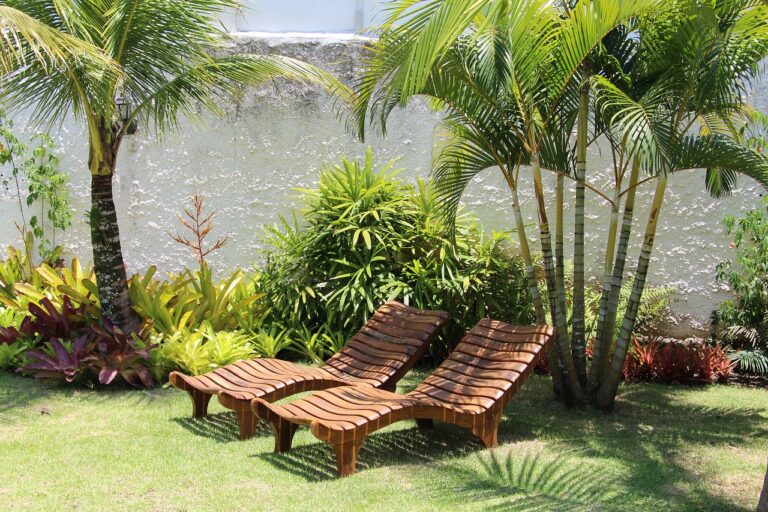 relax 3703532 1280 scaled