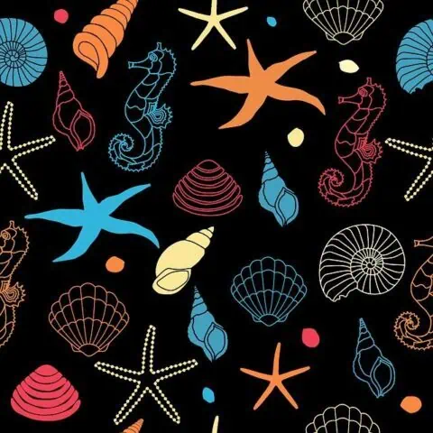 seahorse 1768791 640 e1660856741940